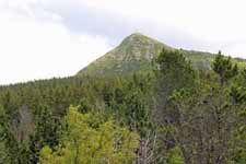 Mont M&eacute;zenc
