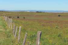 Aubrac, Loz&egrave;re, paysage
