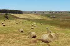 Aubrac, meules de foin
