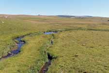 Aubrac, paysage typique