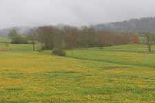 Jura, les Chalesmes, paysage