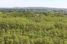 Beaucaire, paysage