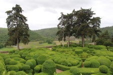 Les jardins suspendus de Marqueyssac, buis