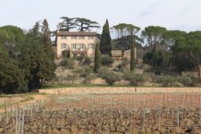 Vignobles, bastide Saint-Louis