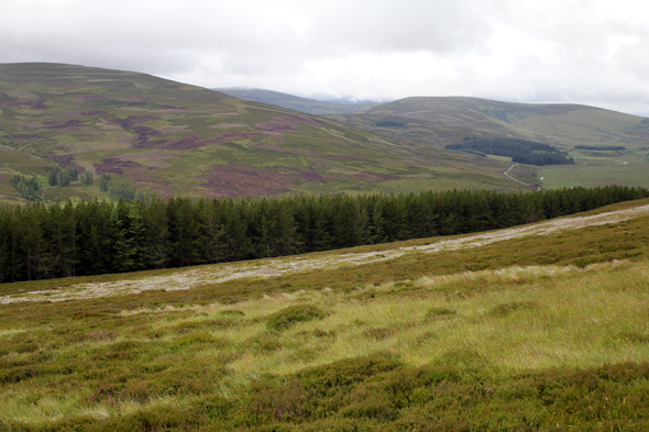 Cairngorns, National Park, écosse