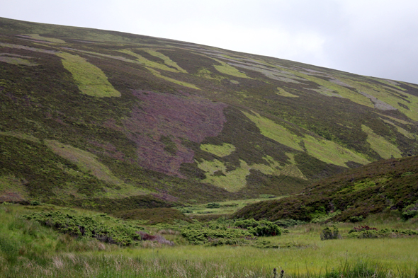 Cairngorns, écosse