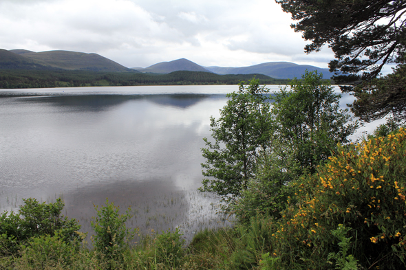 Loch Morlich, écosse