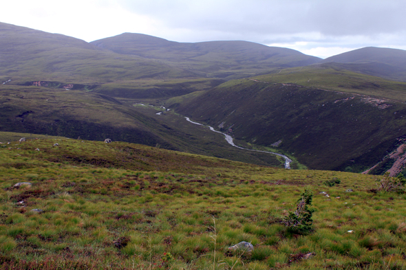 Glenmore, écosse, paysage