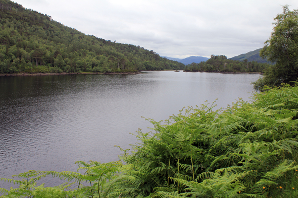 Glen Affric, vue