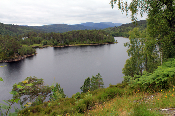 écosse, Glen Affric