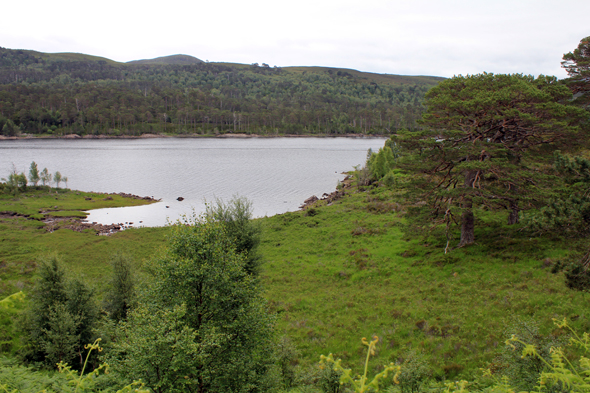 Glen Affric, écosse