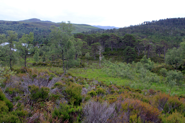 Affric Lodge, écosse