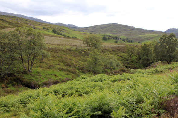 Loch Ness, Glenmor, écosse