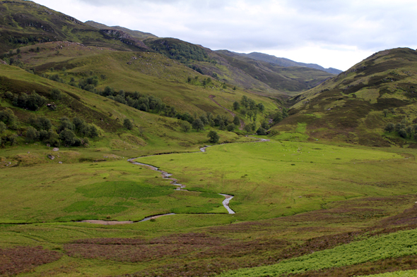 Highlands, Glenmore, écosse