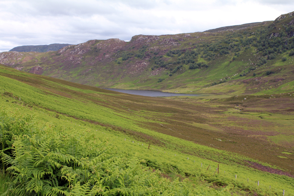 Glenmore, paysage