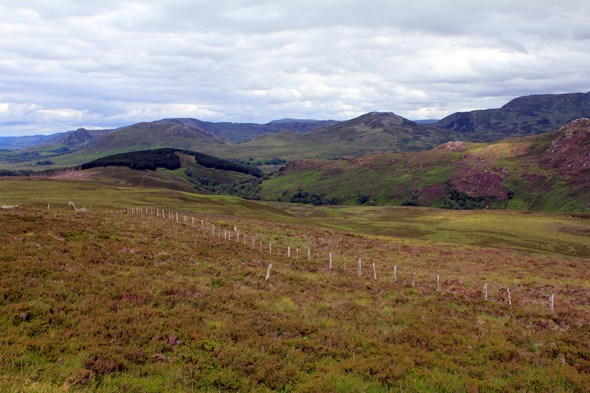 Glenmore, highlands, écosse