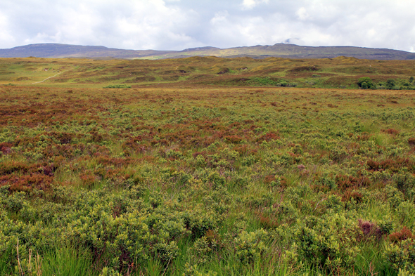 Drumfearn, écosse