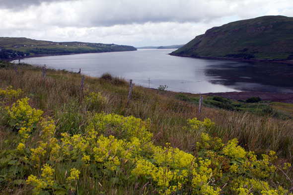 Loch Harport, écosse