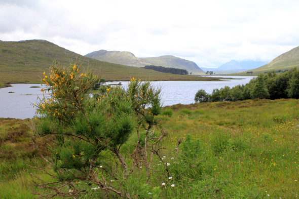 Highland, Loch Droma, écosse