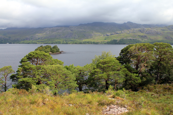 Loch Maree, paysage