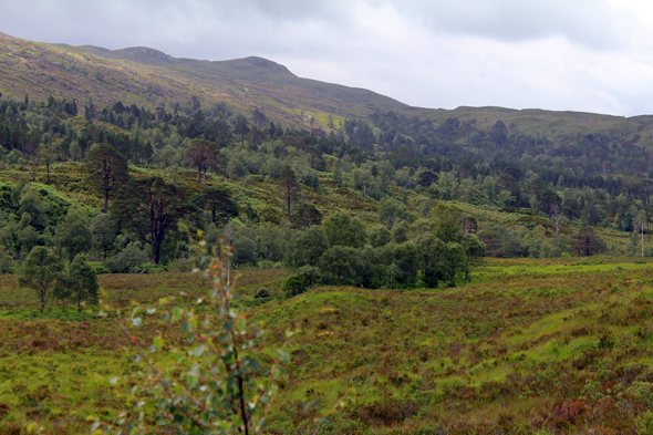 Glen Torridon, écosse