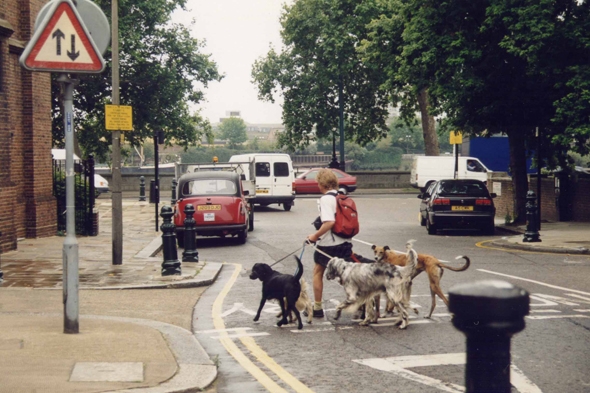 Londres, chiens