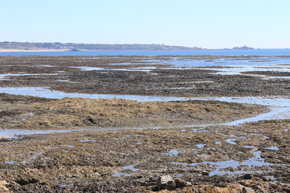 Jersey, Grosnez, paysage