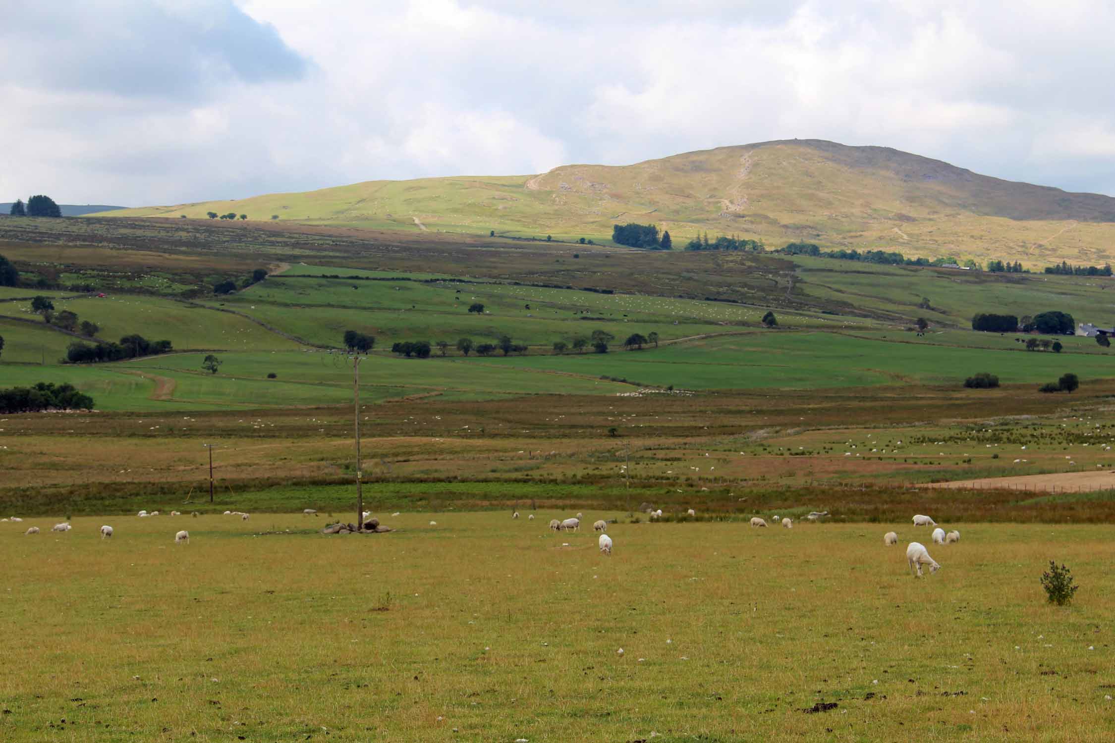 Pays de Galles, paysage à Glasfryn