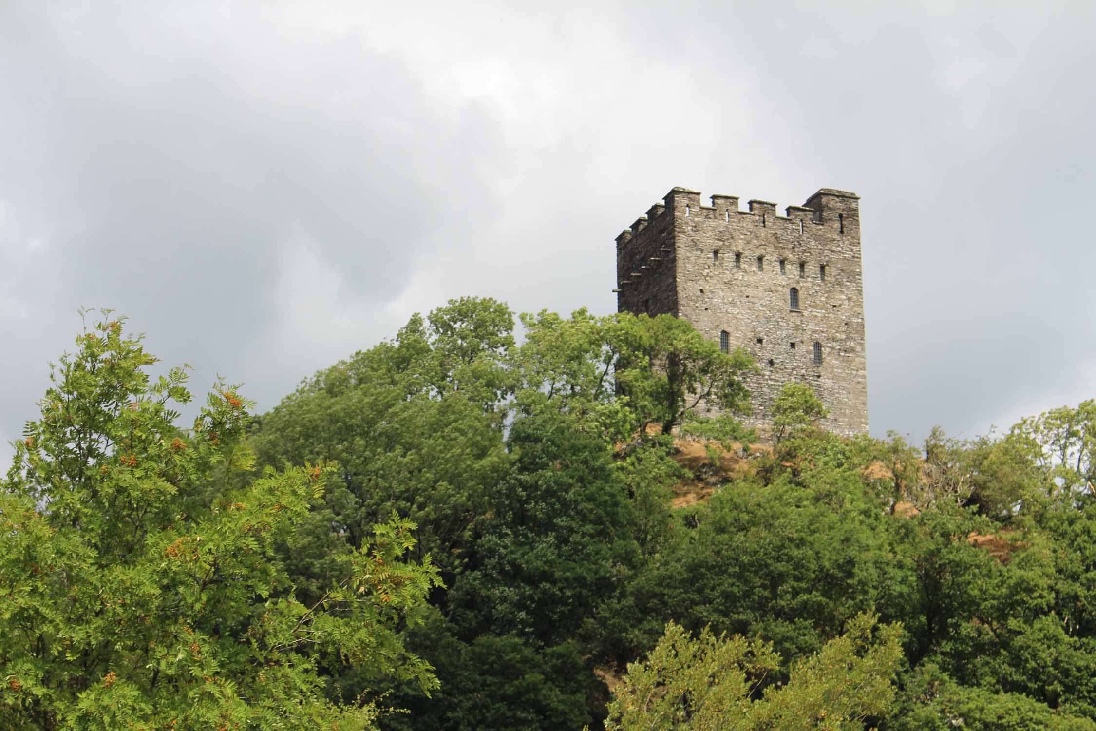 Pays de Galles, château de Dolwyddelan