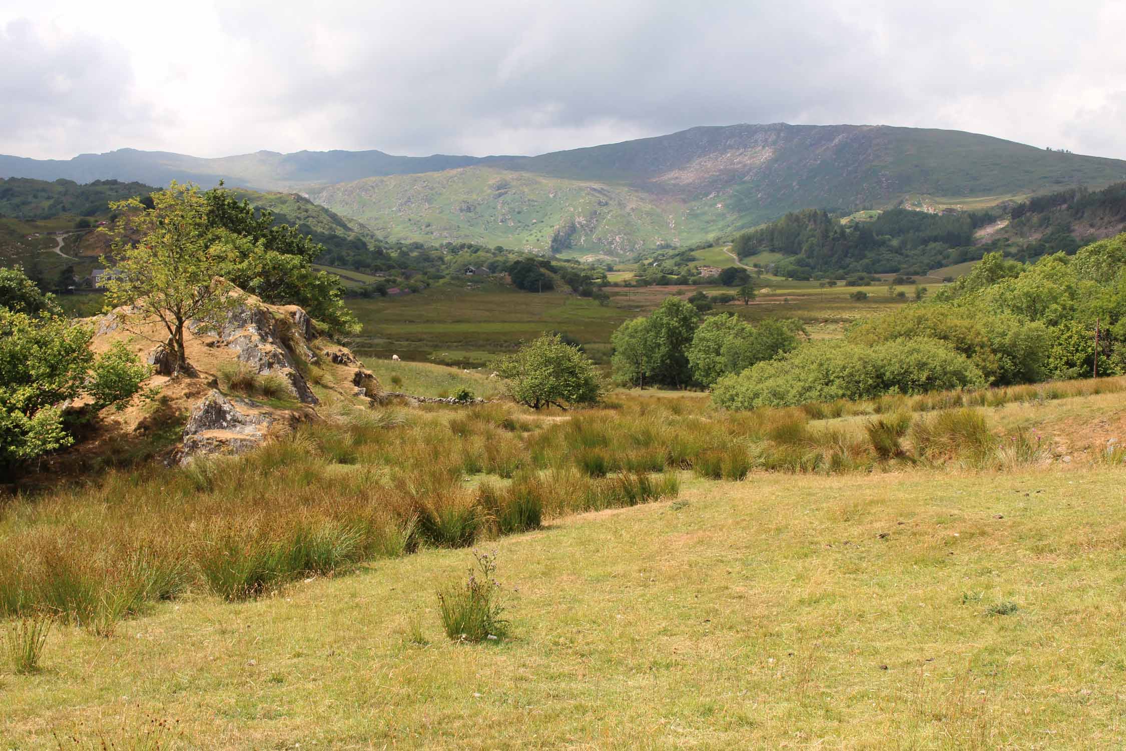 Pays de Galles, Afon Liedr, Snowdonia, paysage