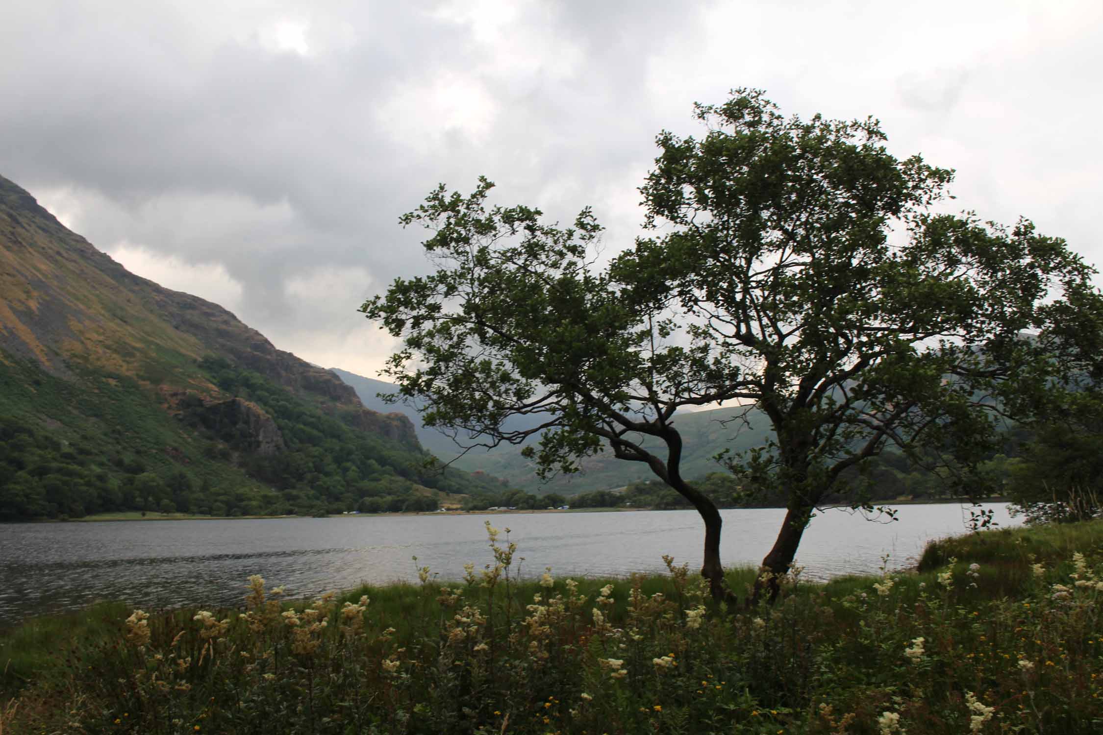 Pays de Galles, Llyn Gwynant