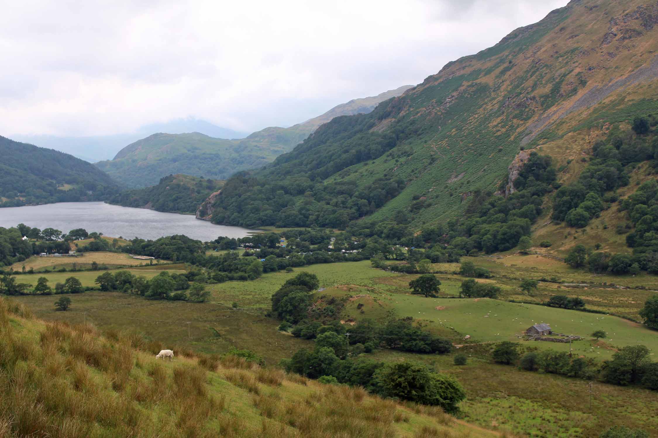 Pays de Galles, lac de Llyn Gwynant