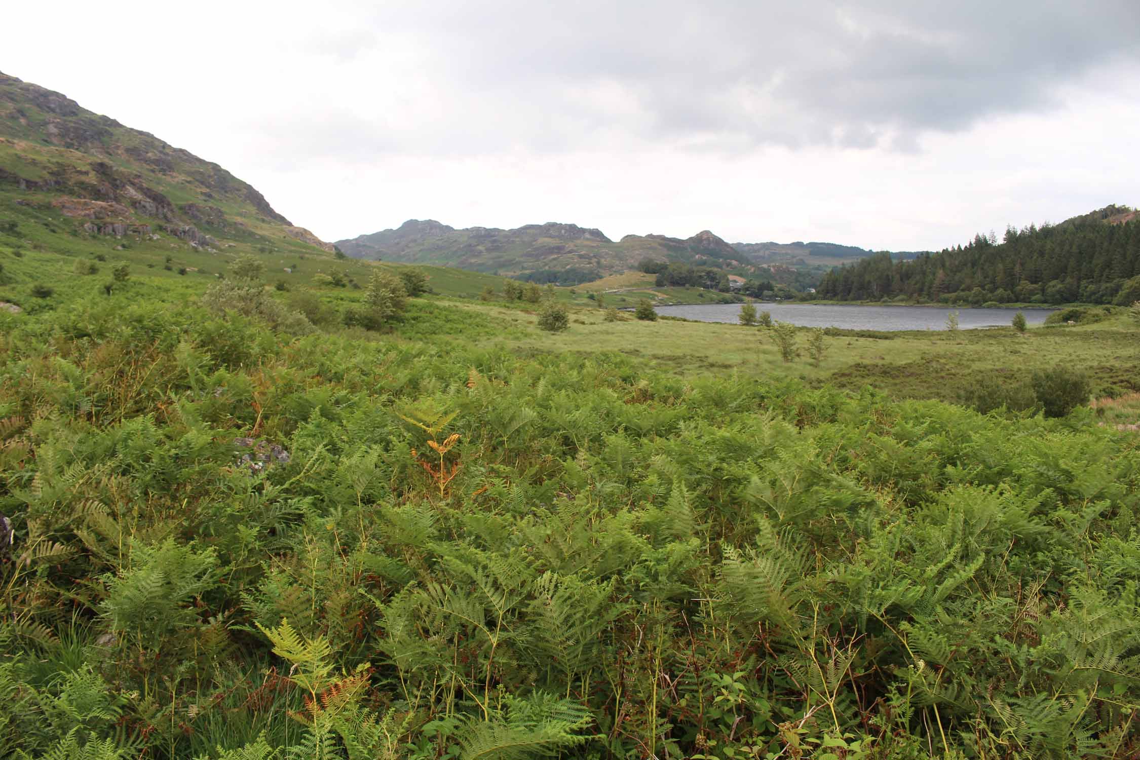 Pays de Galles, Llynnau Mymbyr, paysage