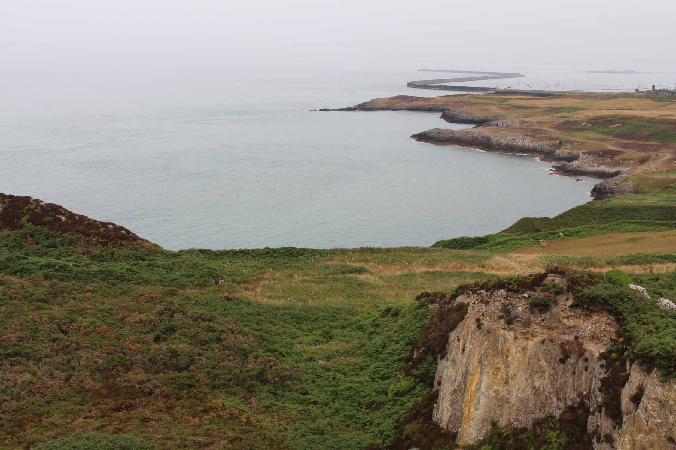 Pays de Galles, Anglesey, paysage