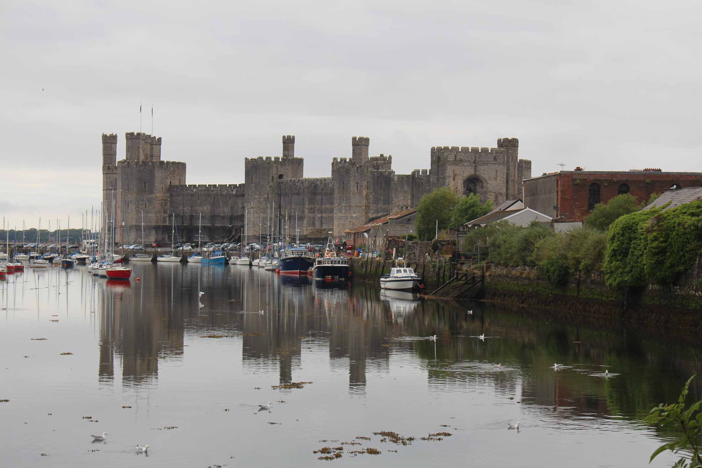 Pays de Galles, château de Caernarfon