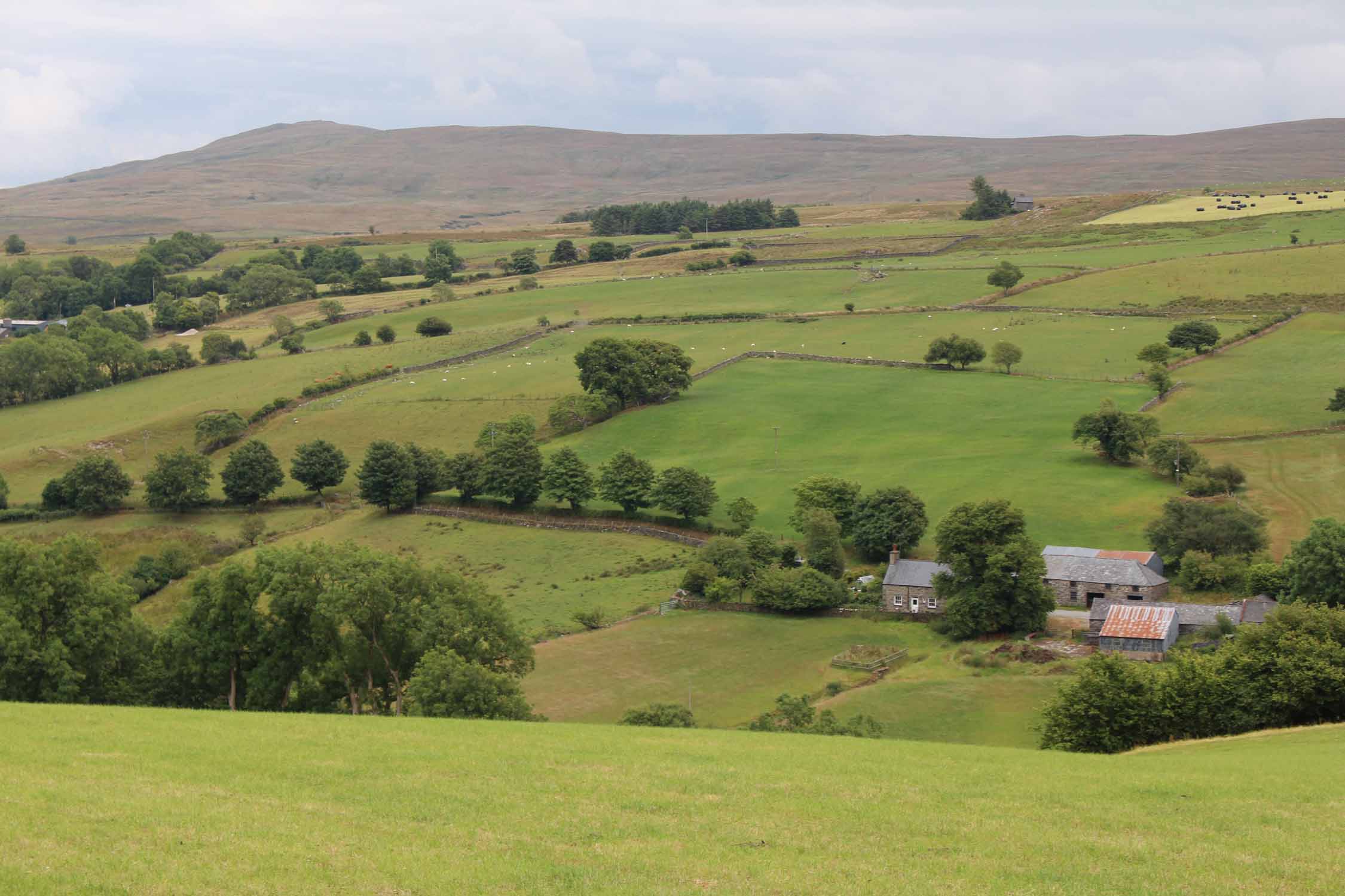 Pays de Galles, Ysbyty Ifan, paysage