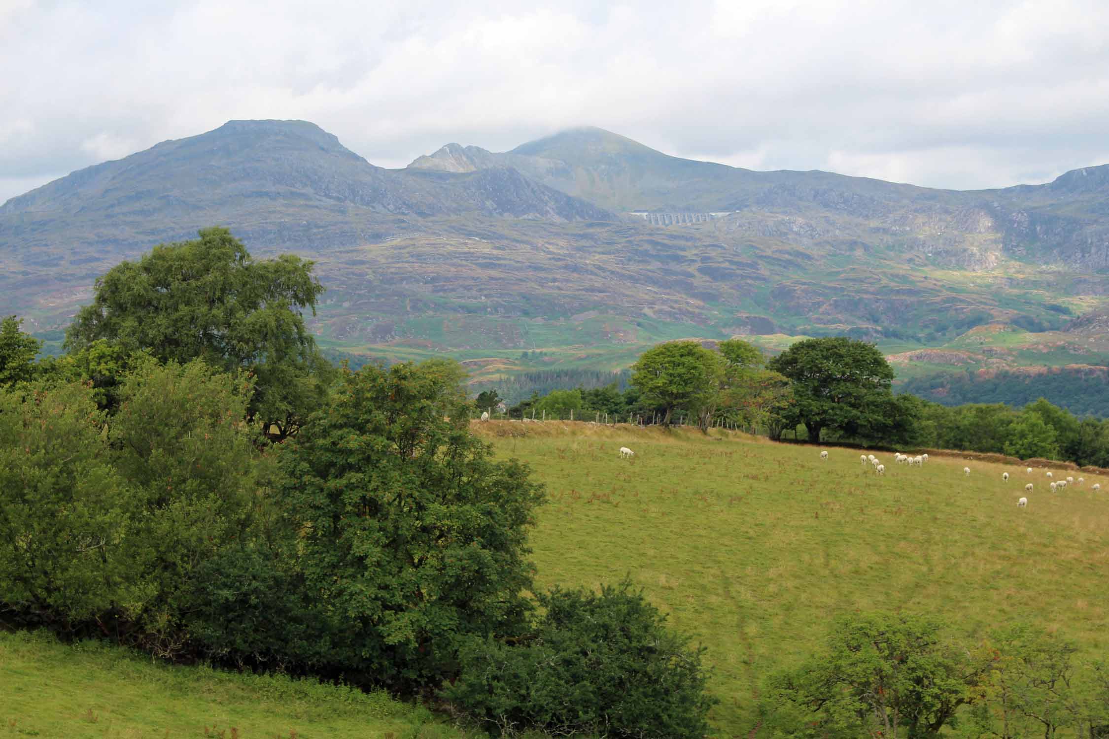 Pays de Galles, Snowdonia, Blaenau, paysage