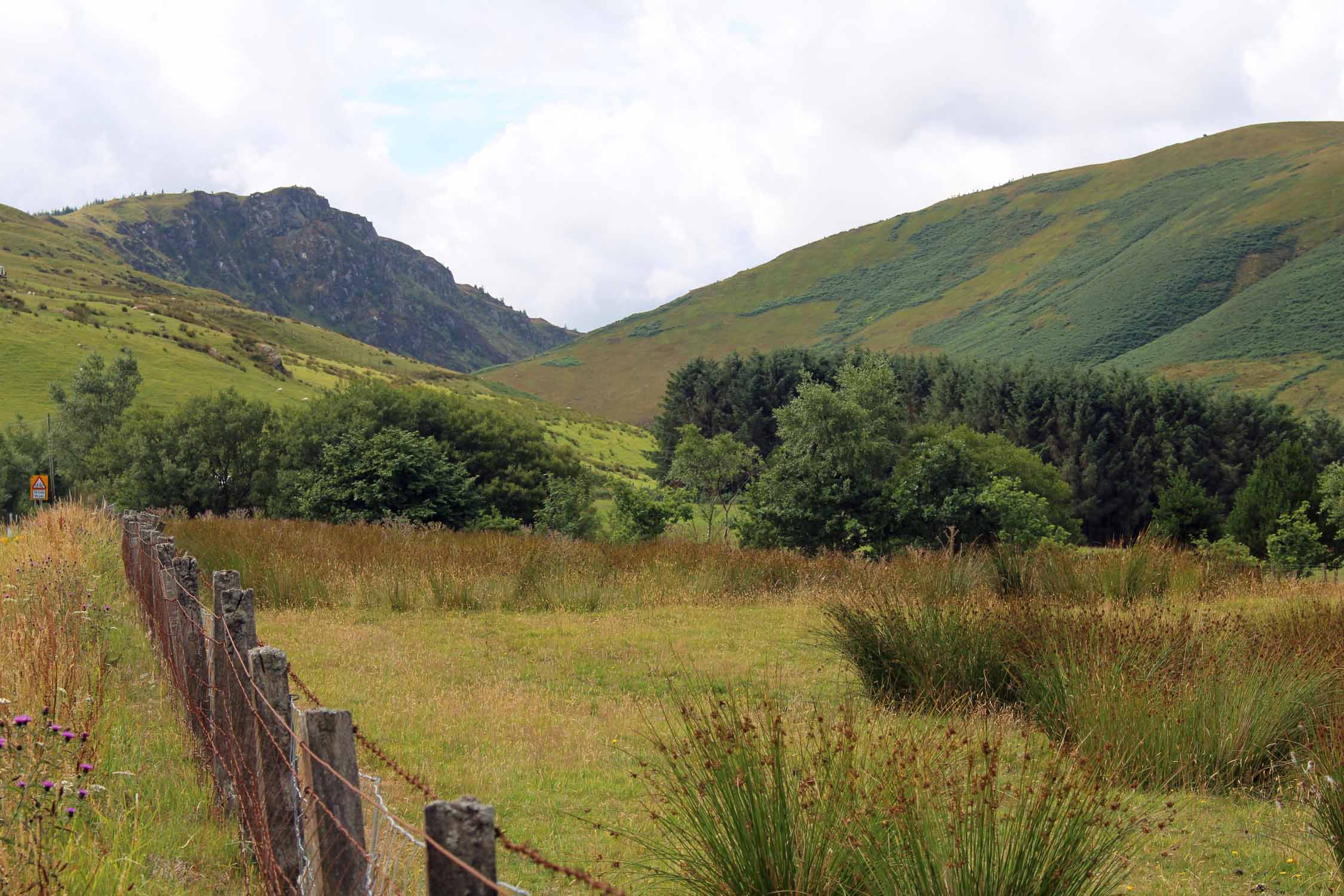 Pays de Galles, Cadair Idris, paysage