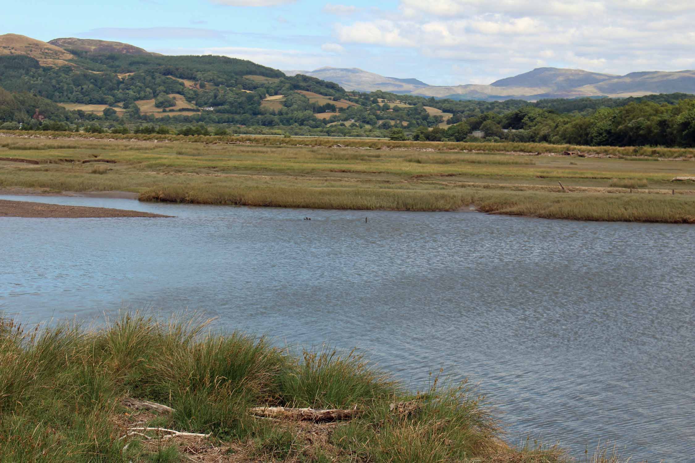 Pays de Galles, Mawddach, paysage