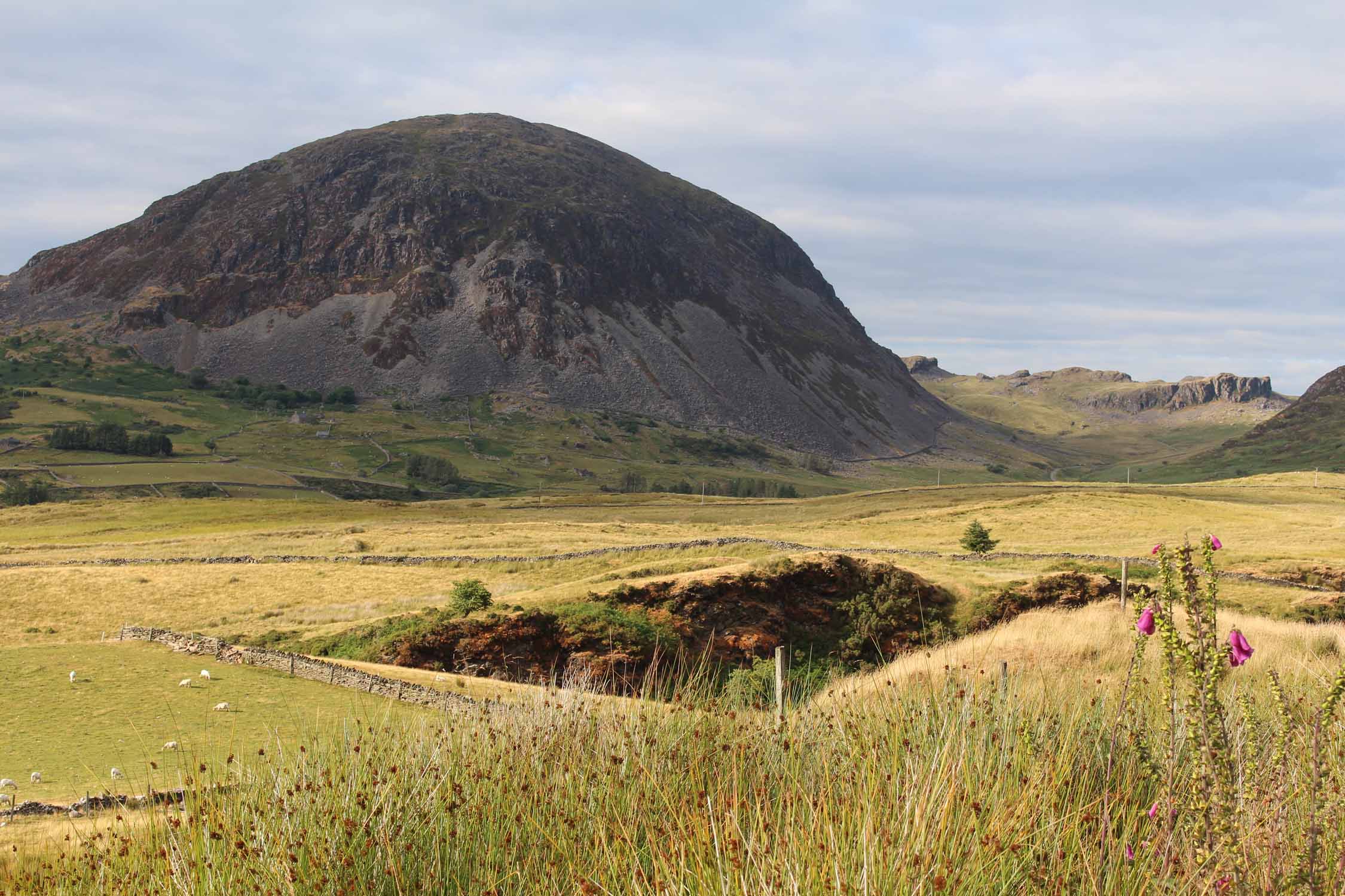 Pays de Galles, parc de Snowdonia, paysage