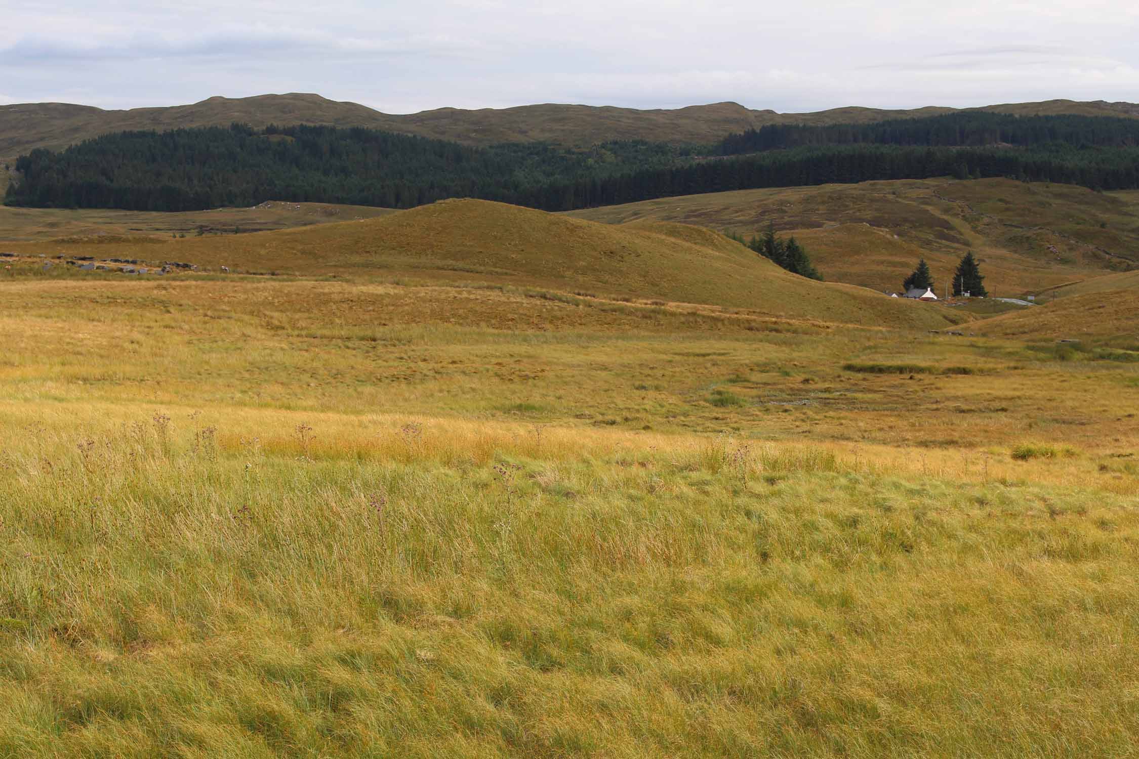 Parc de Snowdonia, paysage