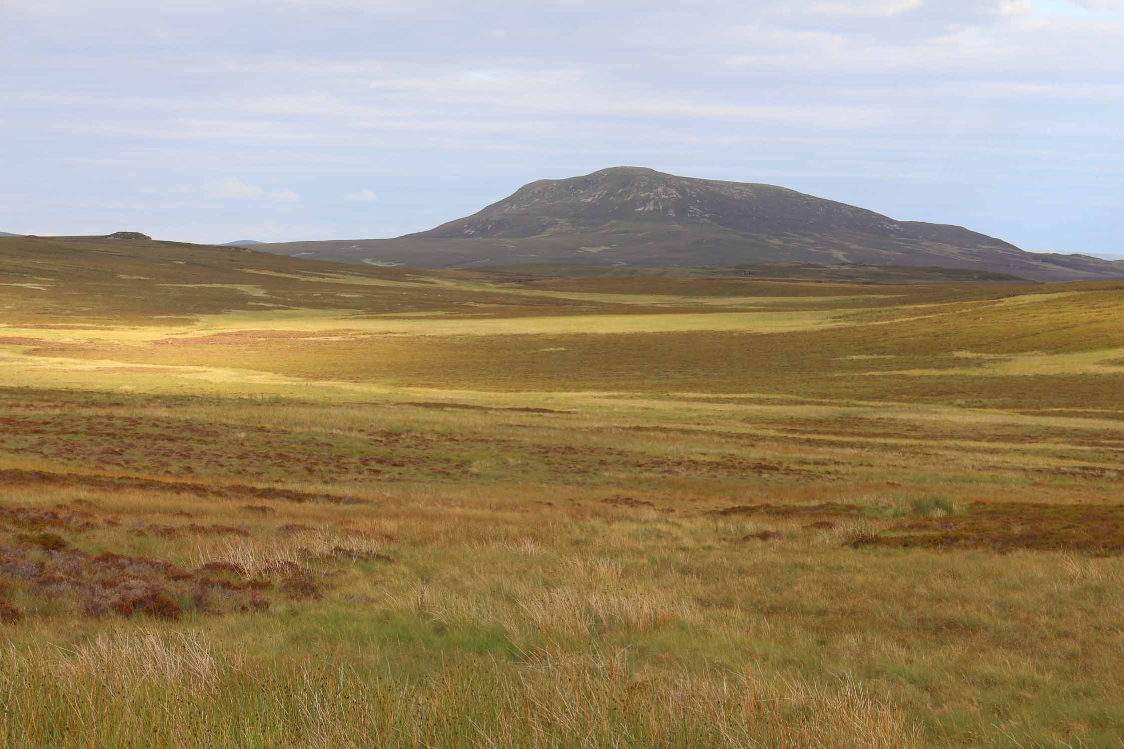 Parc de Snowdonia, paysage de landes