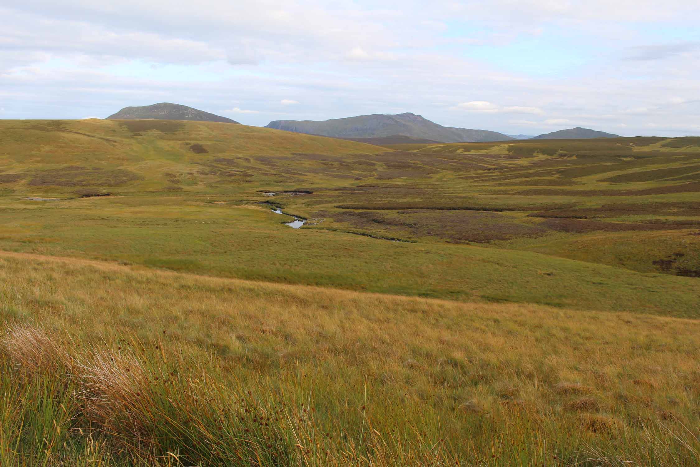 Pays de Galles, Snowdonia, paysage de landes