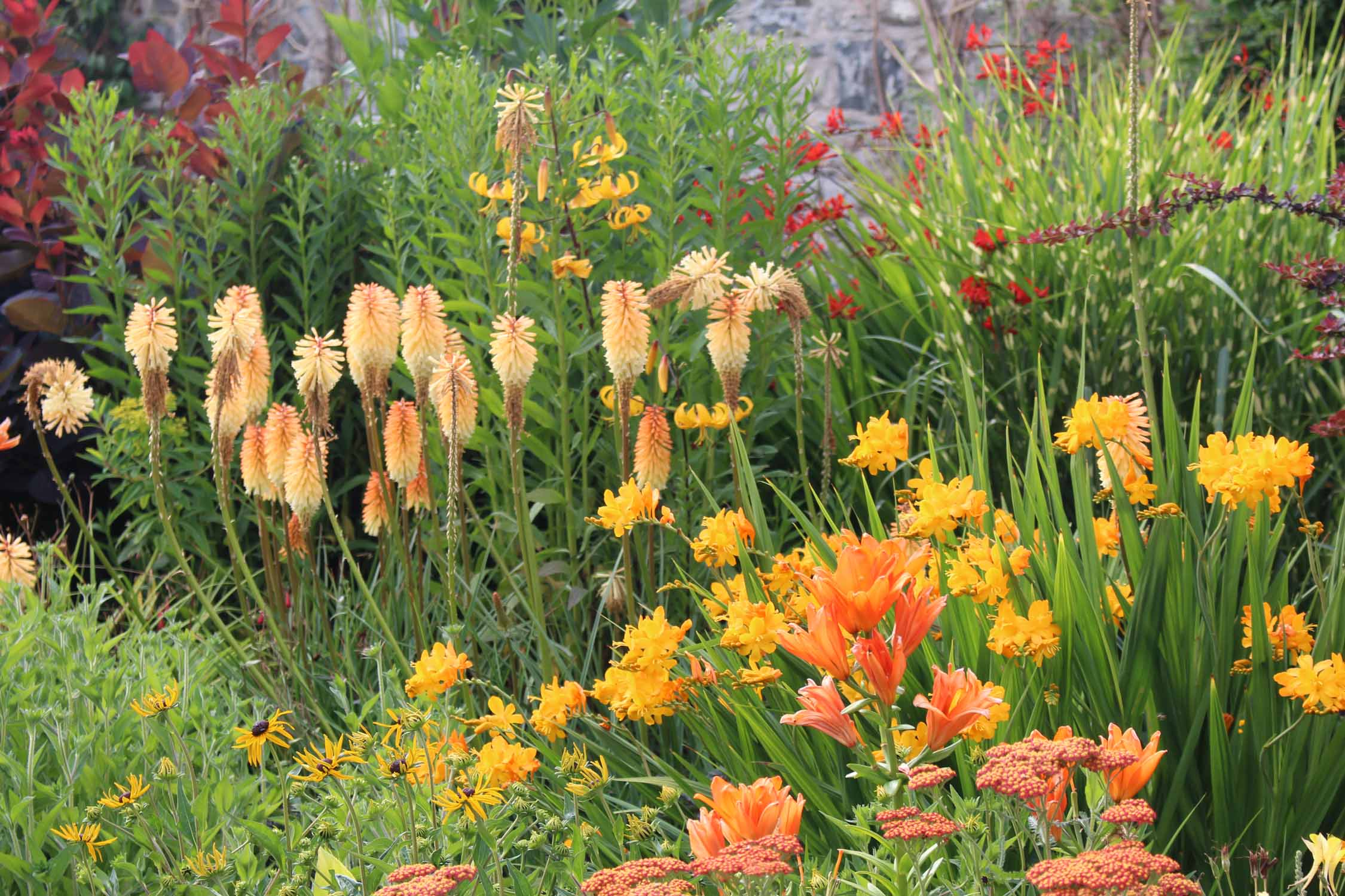 Pays de Galles, jardin de Bodnant, fleurs