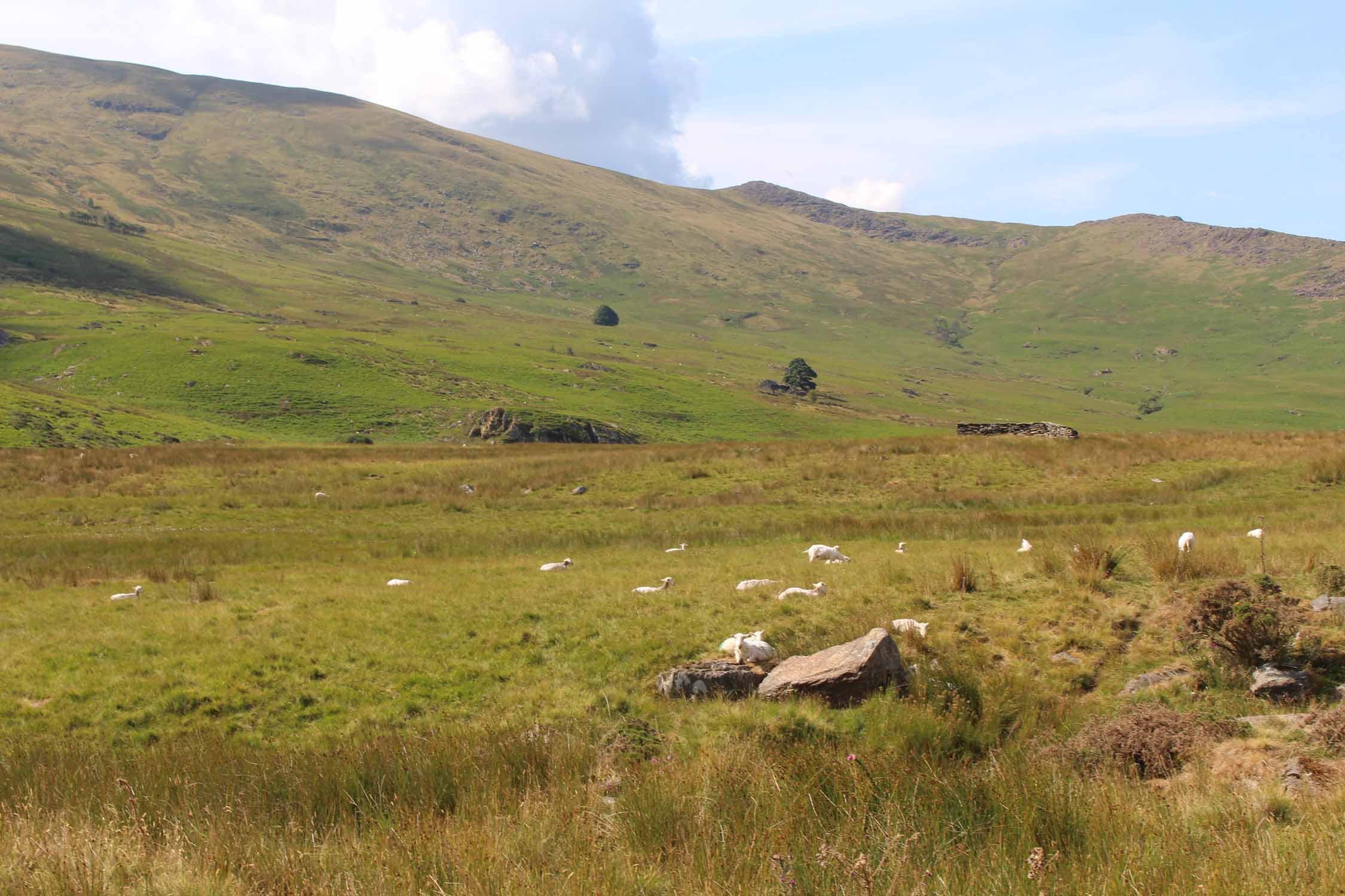 Pays de Galles, panorama, Snowdonia