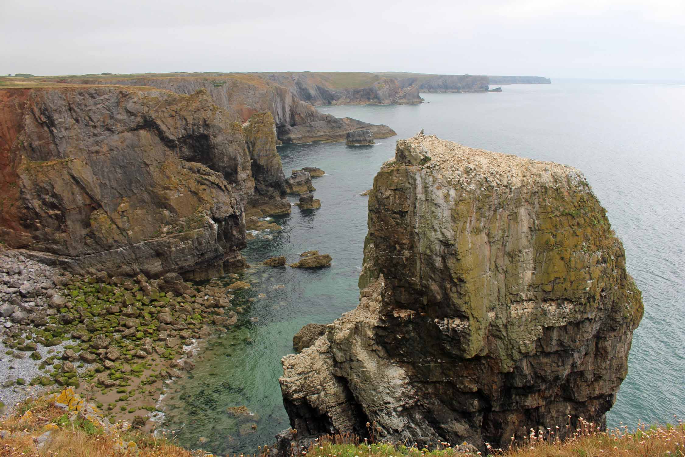 Pays de Galles, Pembrokeshire, falaises