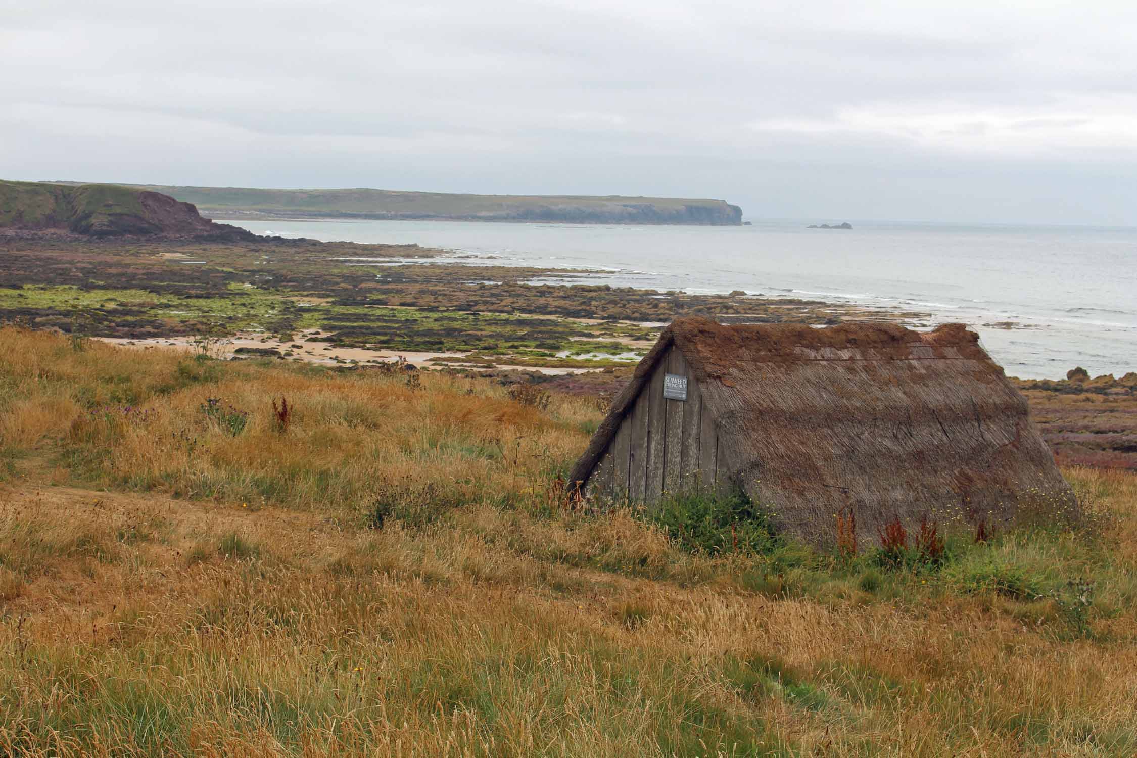 Pays de Galles, Freshwater West, cabane