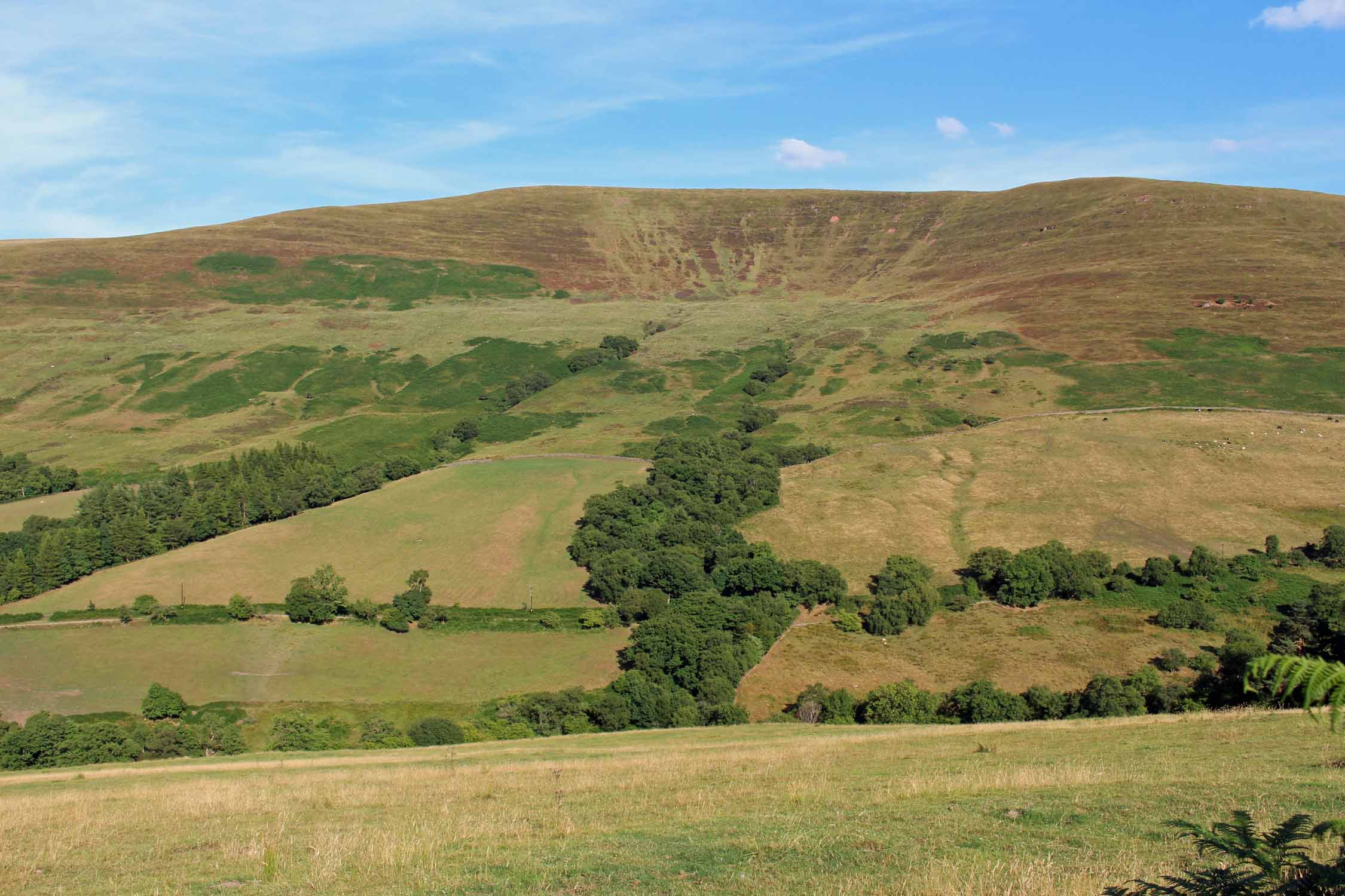 Pays de Galles, parc de Brecon Beacons, paysage