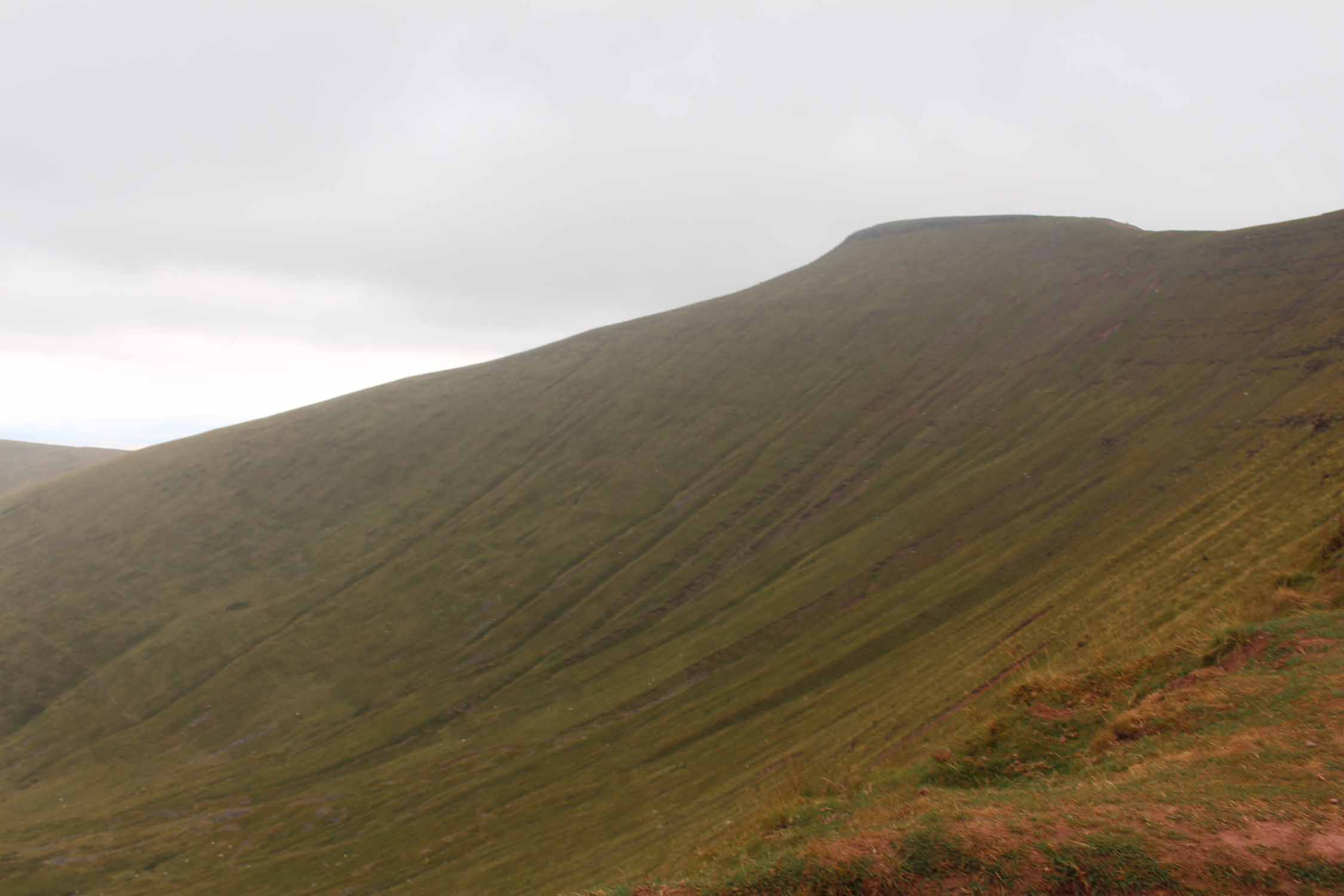 Pays de Galles, paysage de landes à Brecon Beacons