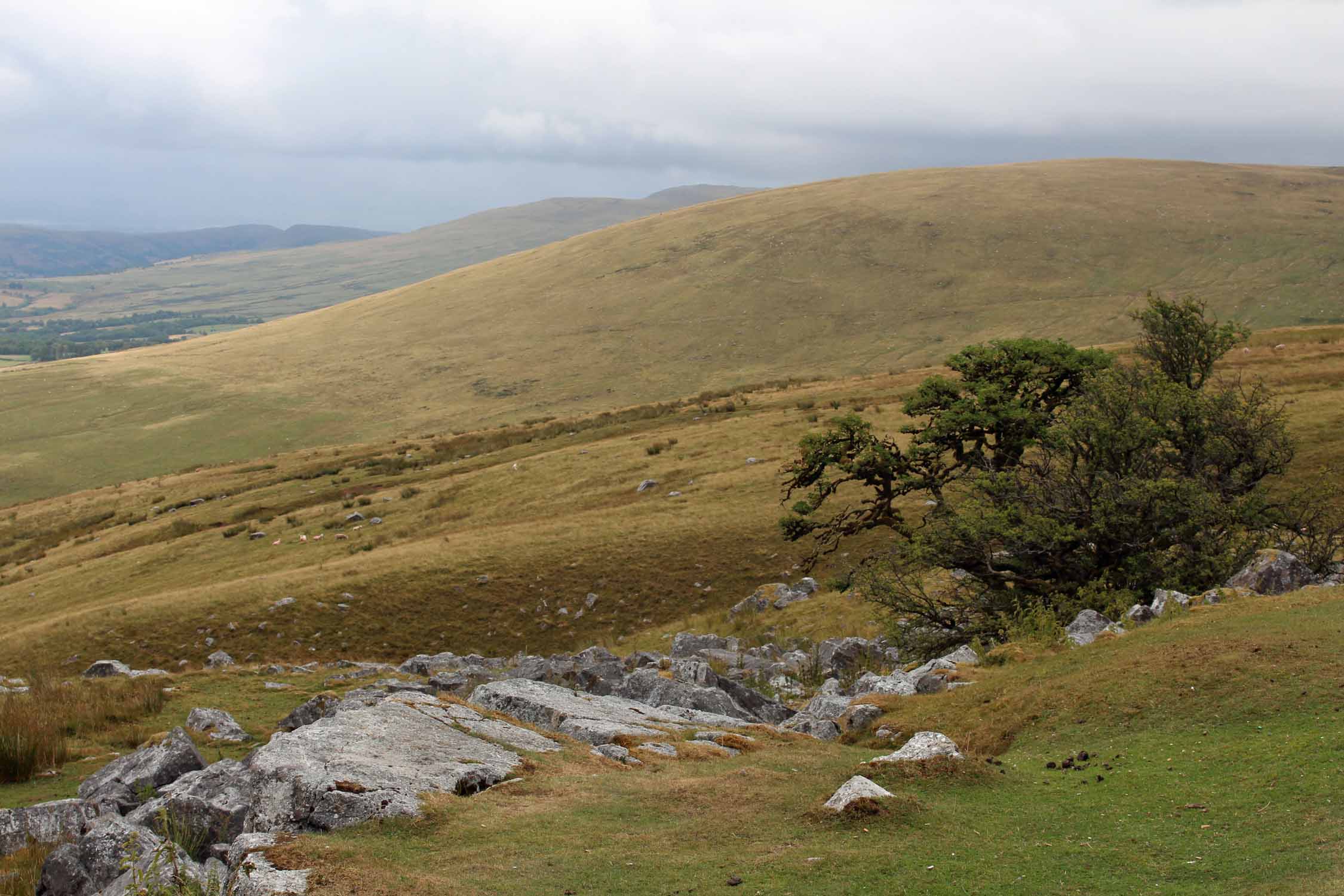 Pays de Galles, Black Mountain, paysage